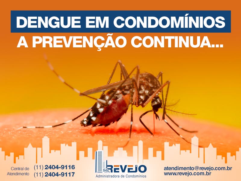 Dengue em Condomínios - A prevenção continua